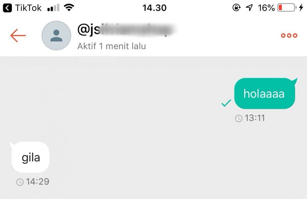 Balasan chat nggak nyambung dari seller ini bikin cengar cengir sendiri
